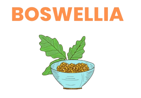 Boswellia